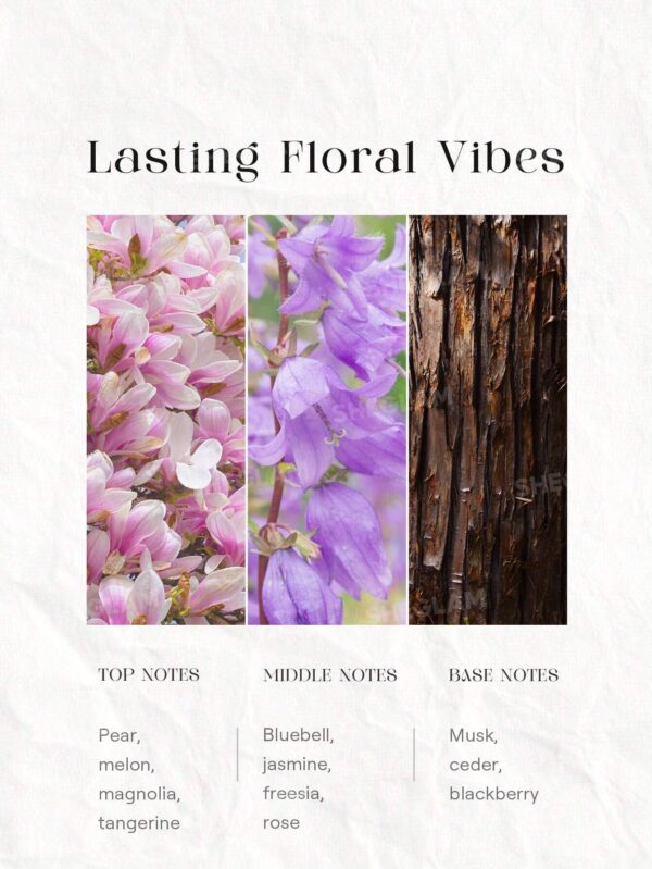 ماسک موهای فر ضد وز و ترمیم کننده شیگلم حاوی روغن کرچک Frizz Fighter