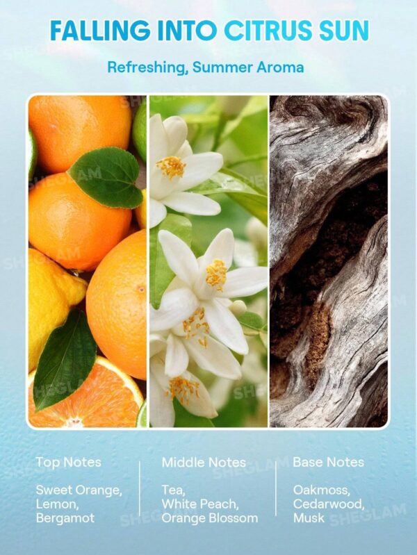 سرم پوست سر شیگلم خنک کننده مدل Ice Revive Sculp Serum