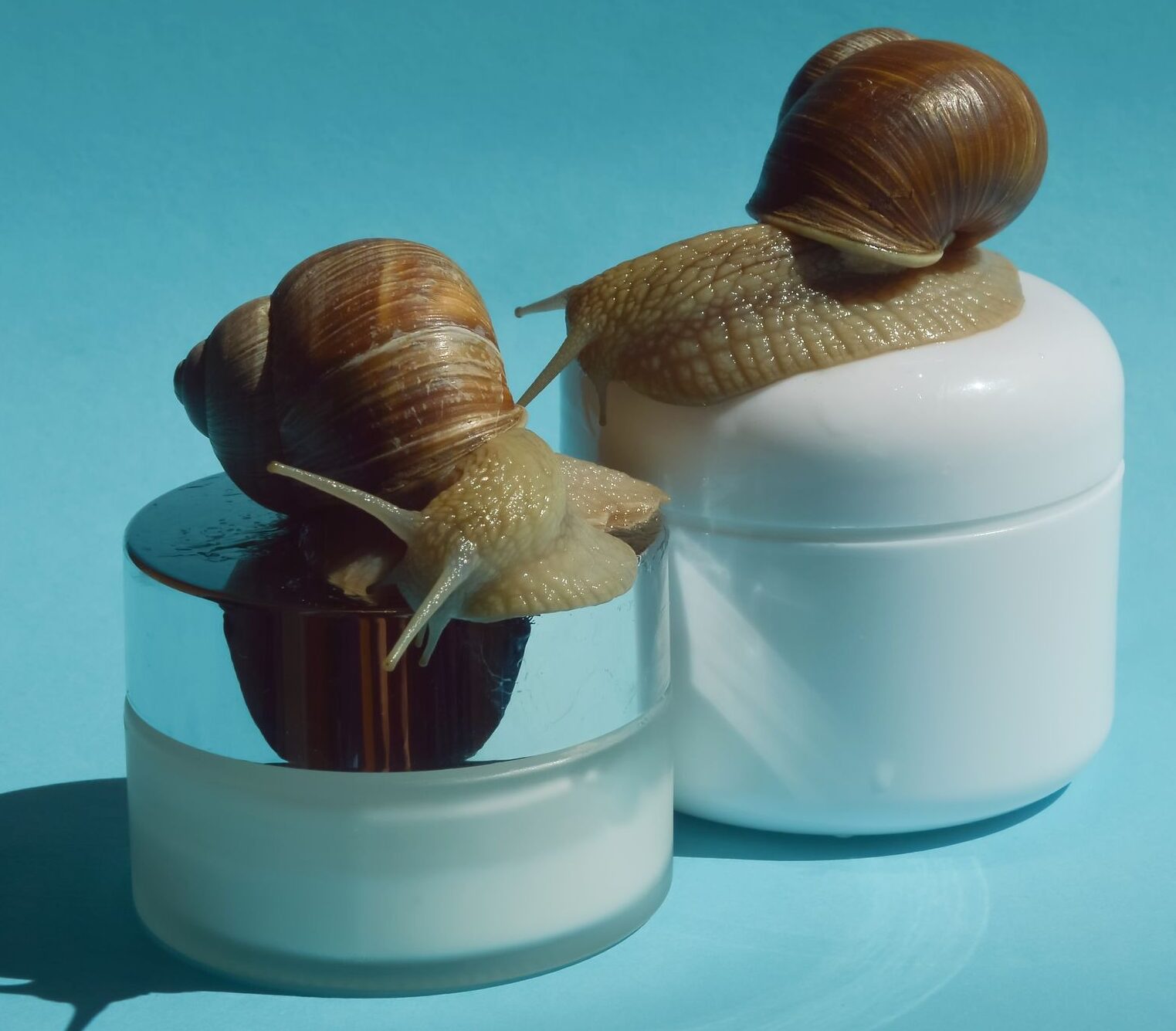 کرم دور چشم حلزونی کوزارکس؛ بررسی تخصصی برای تیرگی، خطوط و خشکی