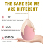 ست 16 تکه کیف و بیوتی بلندر و پد آرایشی