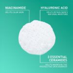 فیس واش فومی سراوی مدل Foaming Facial Cleanser