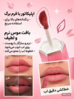 رژلب و رژگونه مایع شیگلم مدل Air Plush Lip & cheek Cream رنگ Light Work