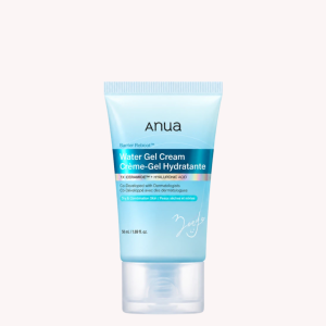 ژل کرم بریر ریبوت آنوا Anua مدل Water Gel Cream آبرسان و تقویت‌کننده سد دفاعی پوست چرب، مختلط و حساس