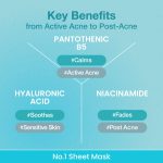 ماسک ورقه ای پانتوتنیک B5 و هیالورونیک نامبوزین Pantothenic B5+Hyaluronic Acid No.1